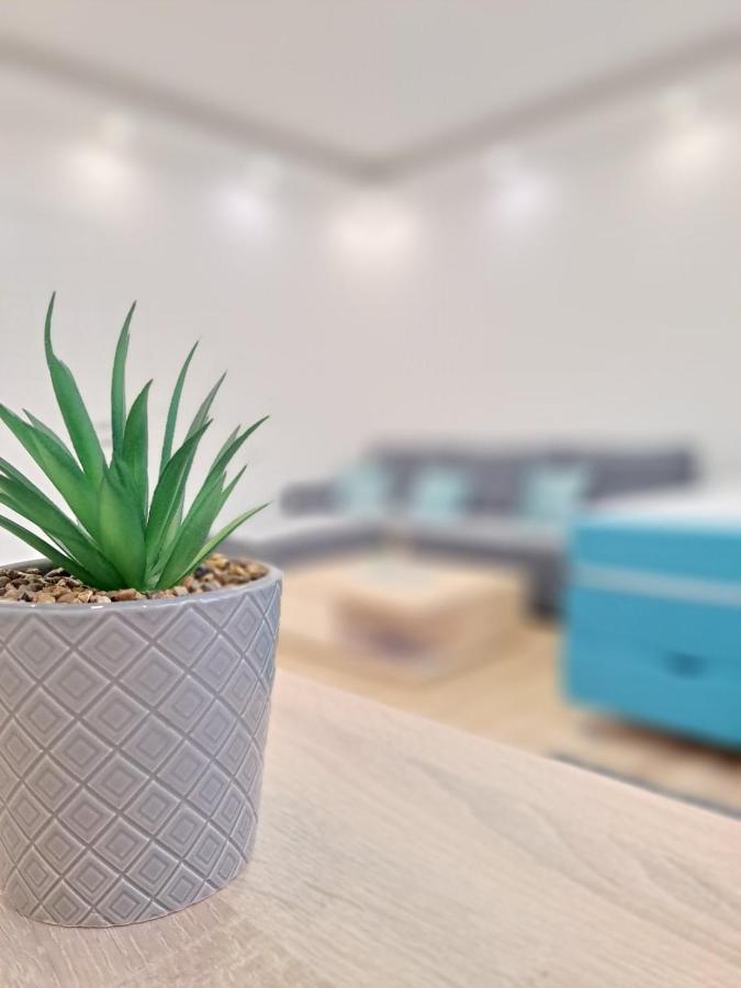 Apartman Andrea 塞拉耶佛 外观 照片
